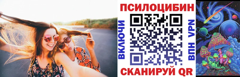 OMG зеркало  закладка  Курильск  мориарти состав  Псилоцибиновые грибы Psilocybe 