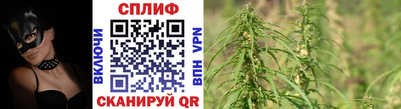 Конопля SATIVA & INDICA Курильск